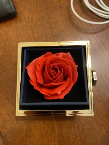 Creative Rotating Eternal Rose Love Necklace Gift Set photo review