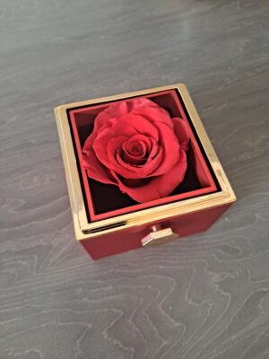 Personalized Customized Necklace Everlasting Rose Rotating Gift Box photo review