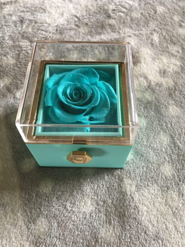 Creative Rotating Eternal Rose Love Necklace Gift Set photo review