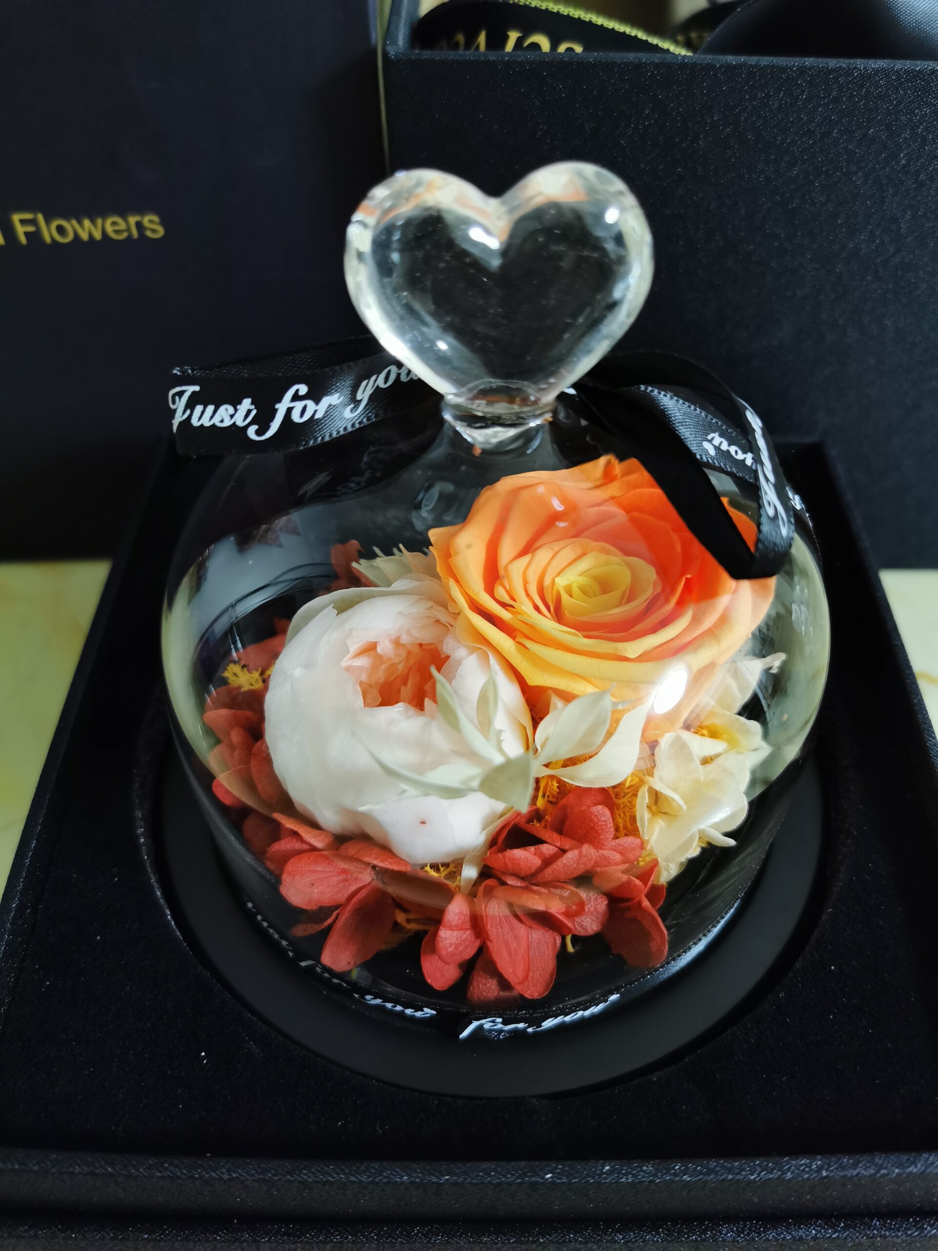 Beauty & The Beast - Real Eternal Rose in Glass Dome photo review